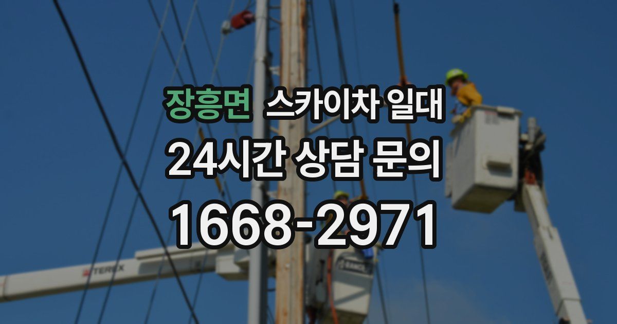 장흥면 스카이차 일대