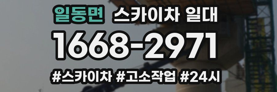 일동면 스카이차 일대