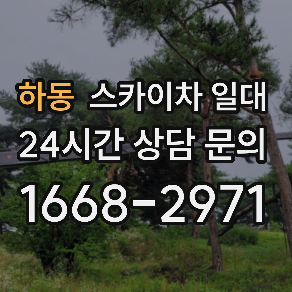 하동 스카이차 일대