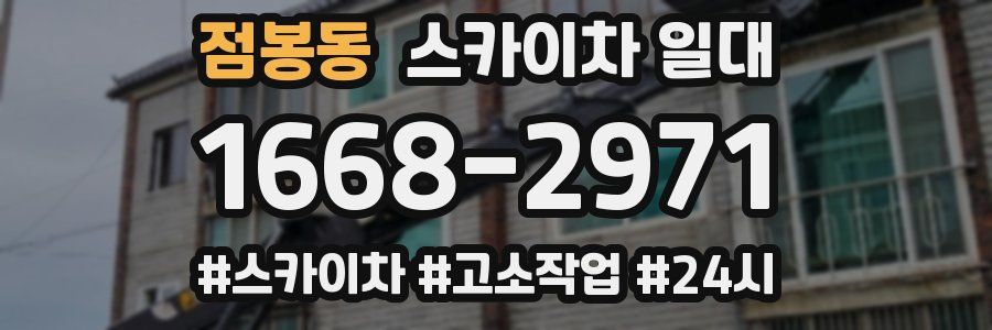 점봉동 스카이차 일대