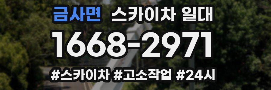 금사면 스카이차 일대