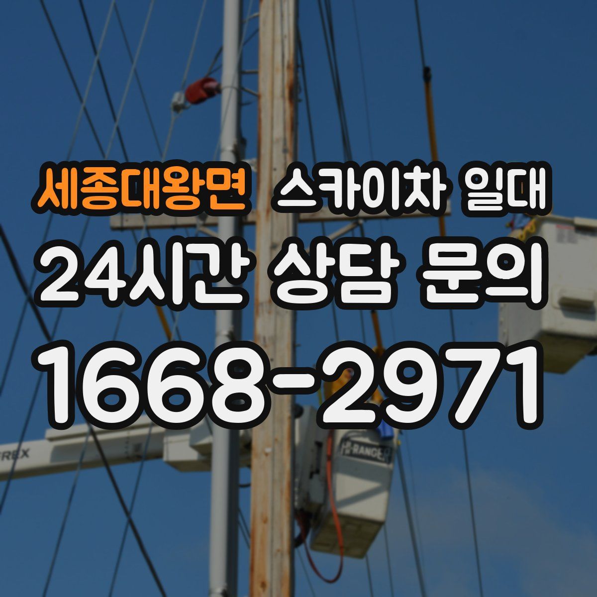 세종대왕면 스카이차 일대