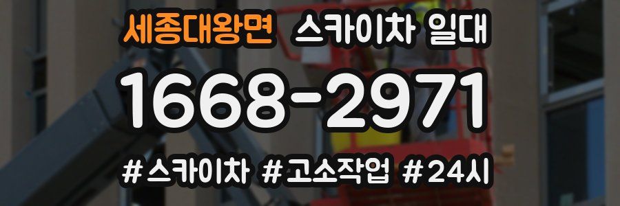 세종대왕면 스카이차 일대