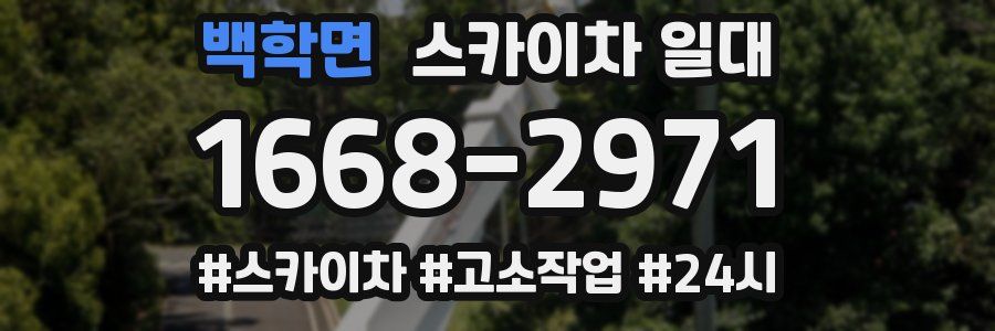 백학면 스카이차 일대