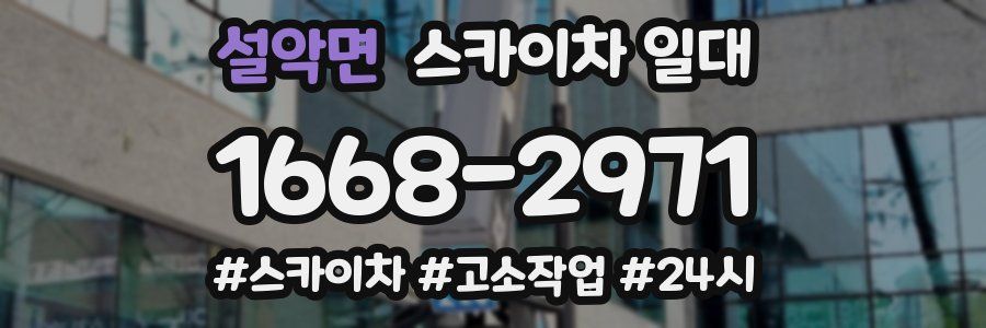 설악면 스카이차 일대