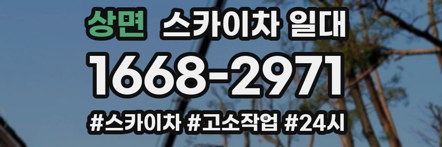 상면 스카이차 일대