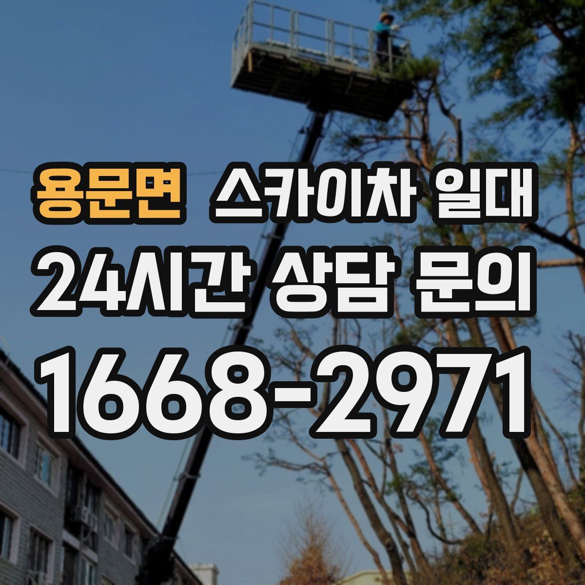 용문면 스카이차 일대