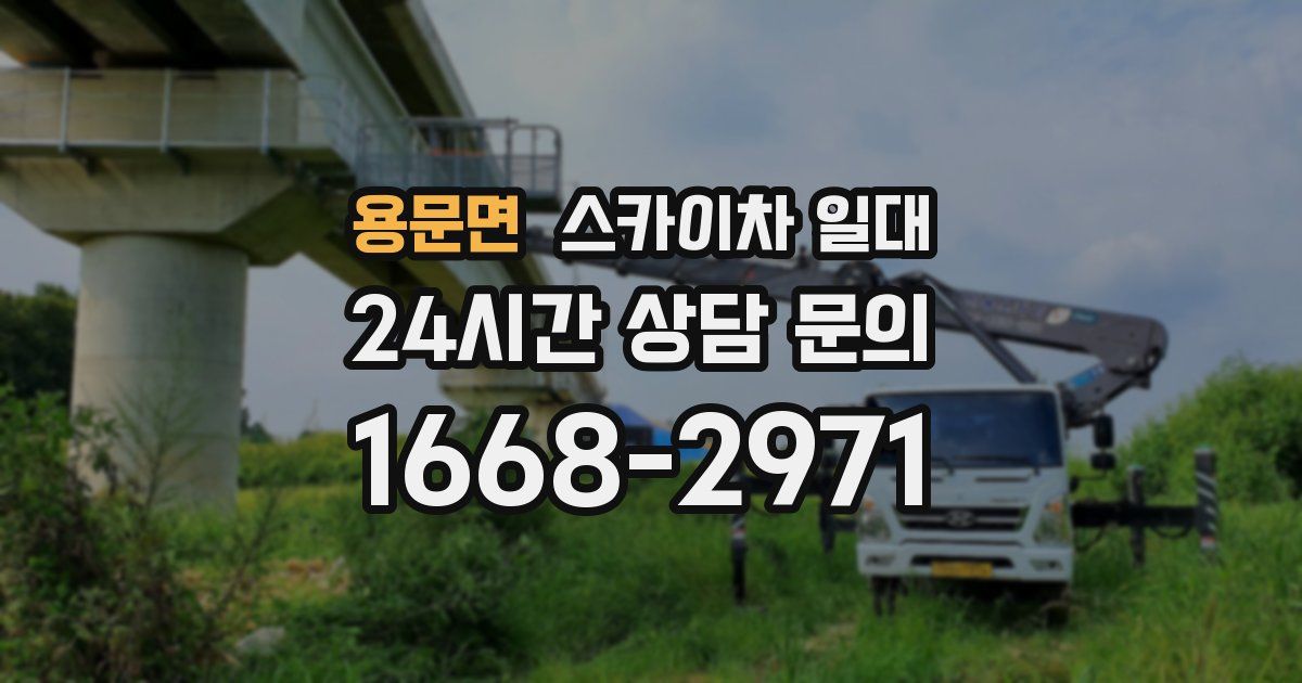 용문면 스카이차 일대