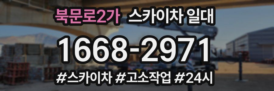 북문로2가 스카이차 일대