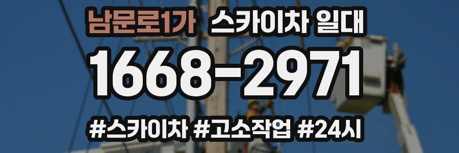 남문로1가 스카이차 일대