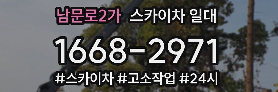남문로2가 스카이차 일대
