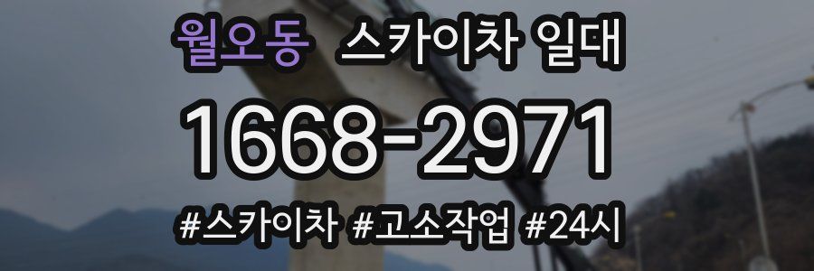 월오동 스카이차 일대