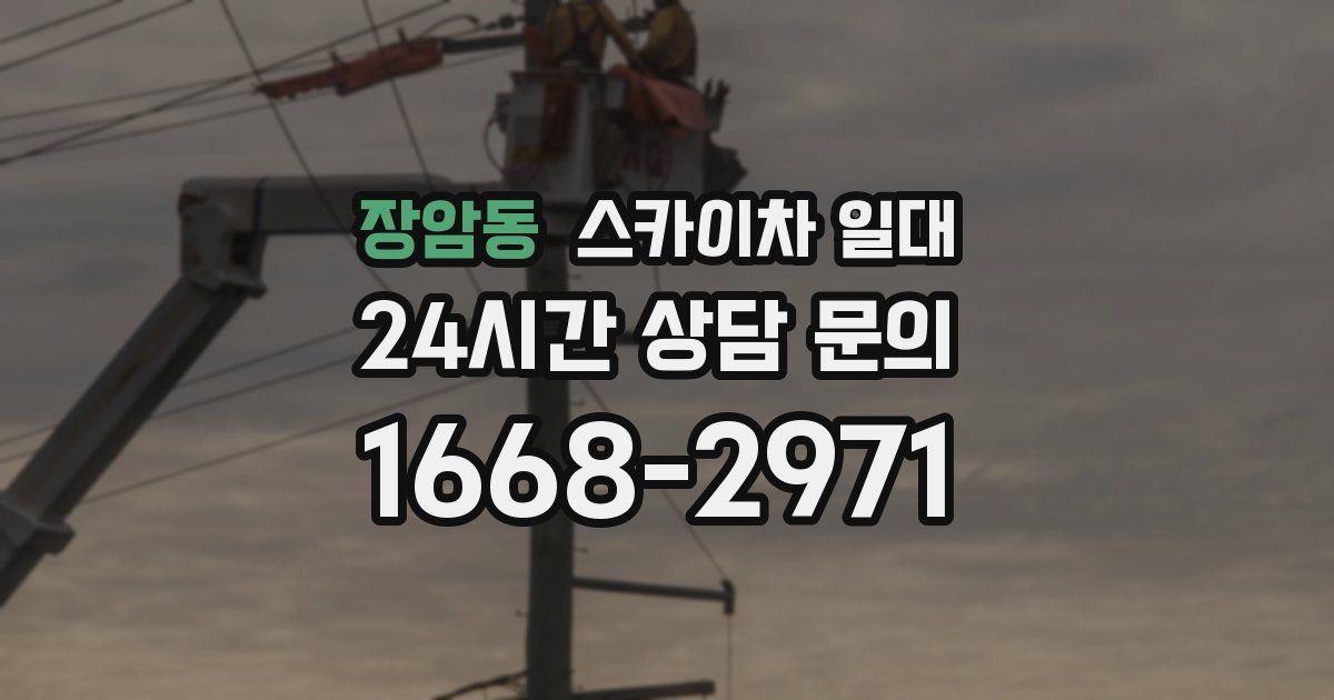 장암동 스카이차 일대