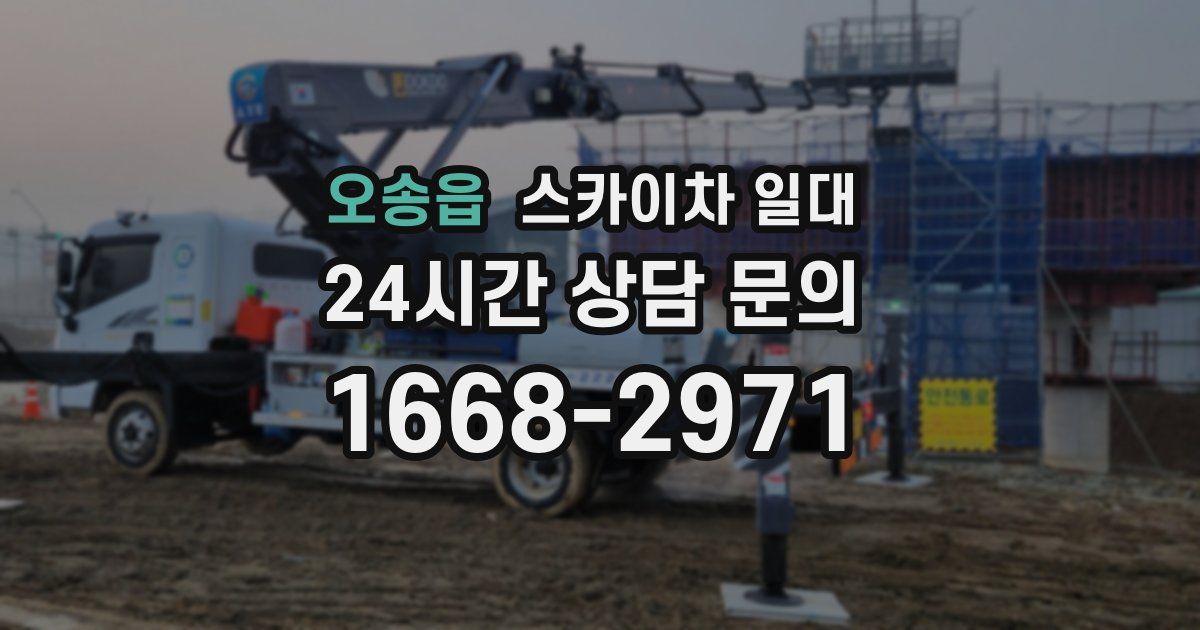 오송읍 스카이차 일대