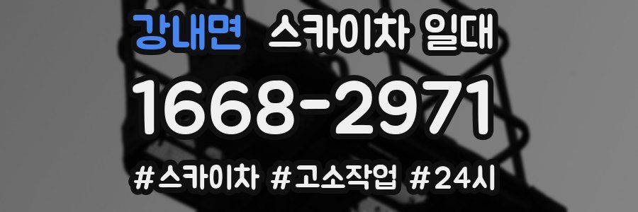 강내면 스카이차 일대