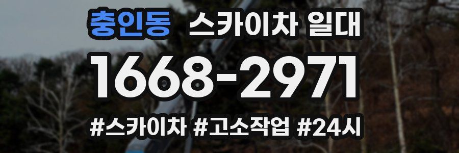 충인동 스카이차 일대