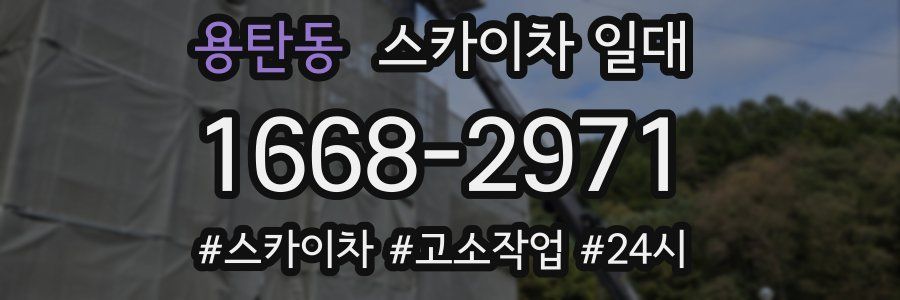 용탄동 스카이차 일대