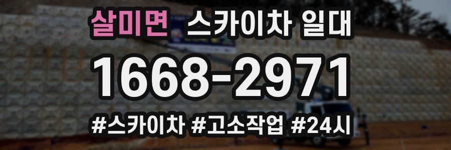 살미면 스카이차 일대