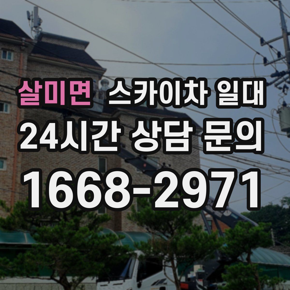 살미면 스카이차 일대
