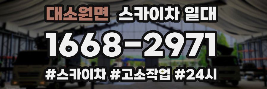 대소원면 스카이차 일대