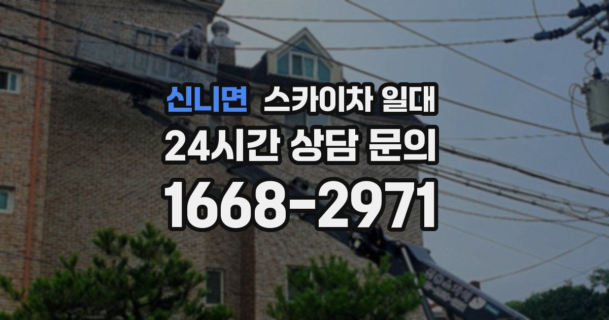 신니면 스카이차 일대