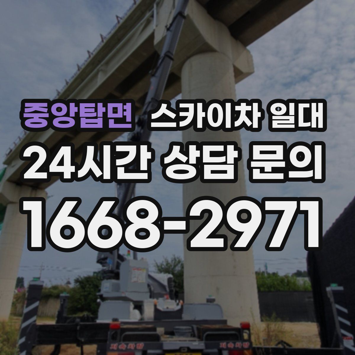 중앙탑면 스카이차 일대