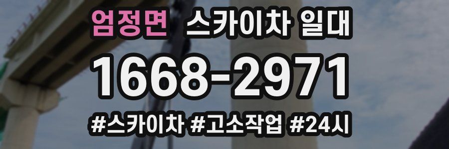 엄정면 스카이차 일대