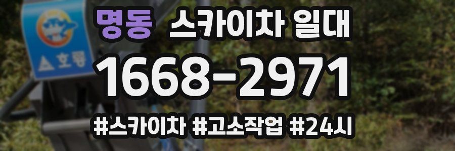 명동 스카이차 일대