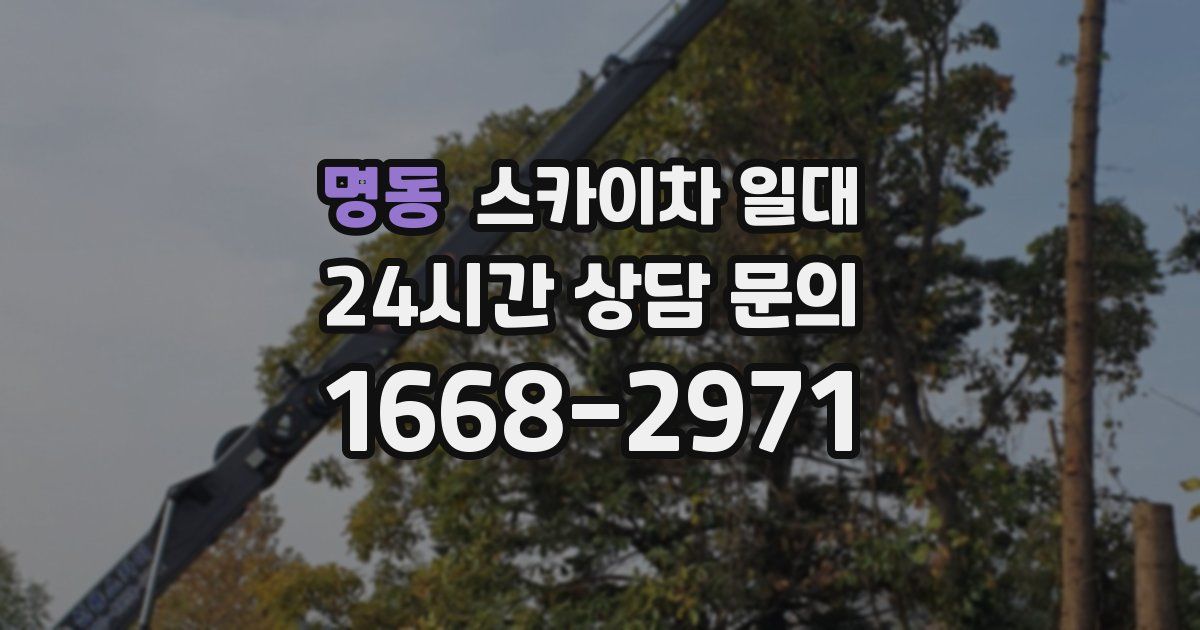 명동 스카이차 일대