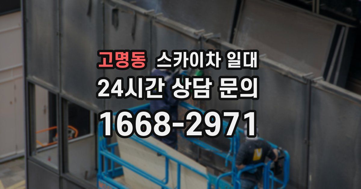 고명동 스카이차 일대