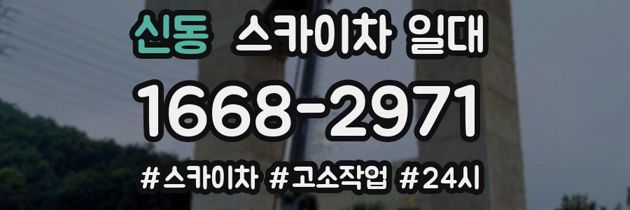 신동 스카이차 일대