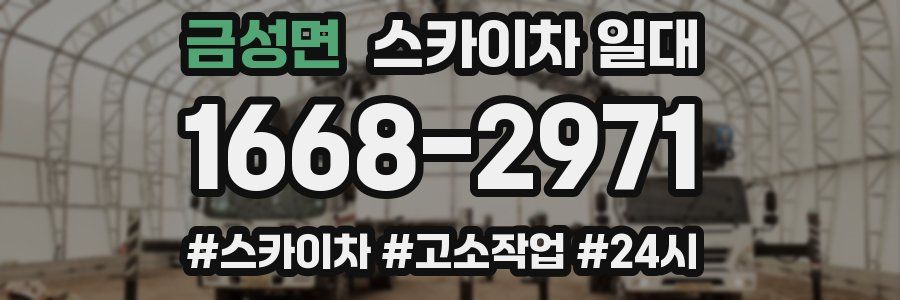금성면 스카이차 일대
