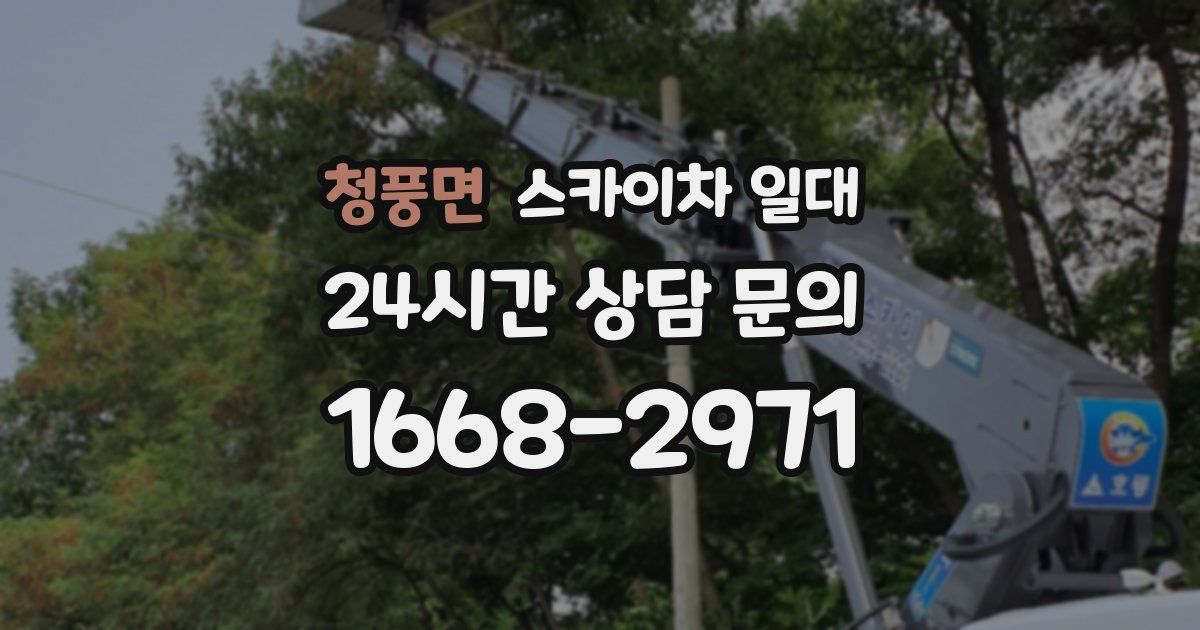 청풍면 스카이차 일대