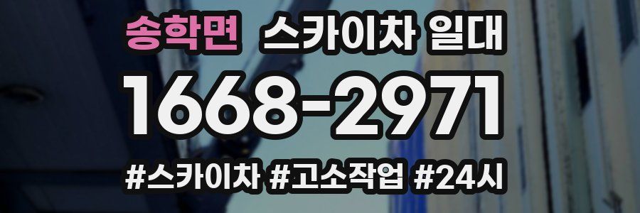 송학면 스카이차 일대