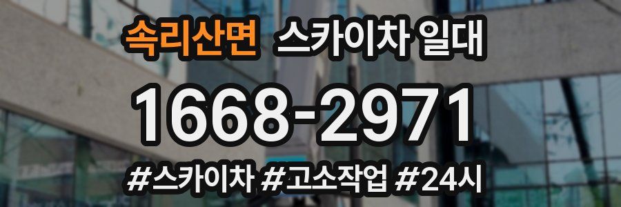 속리산면 스카이차 일대