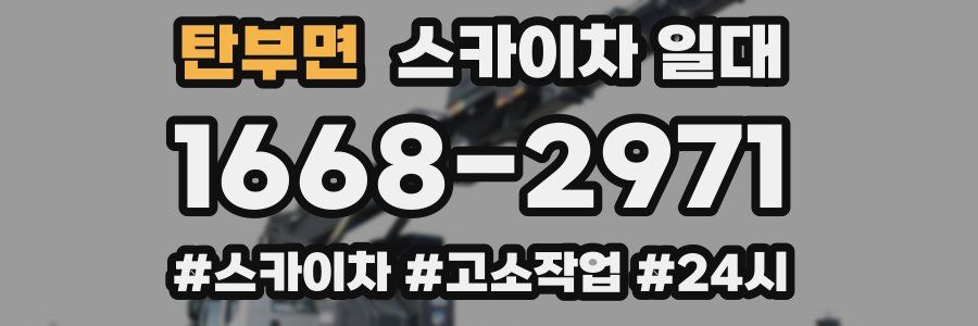 탄부면 스카이차 일대