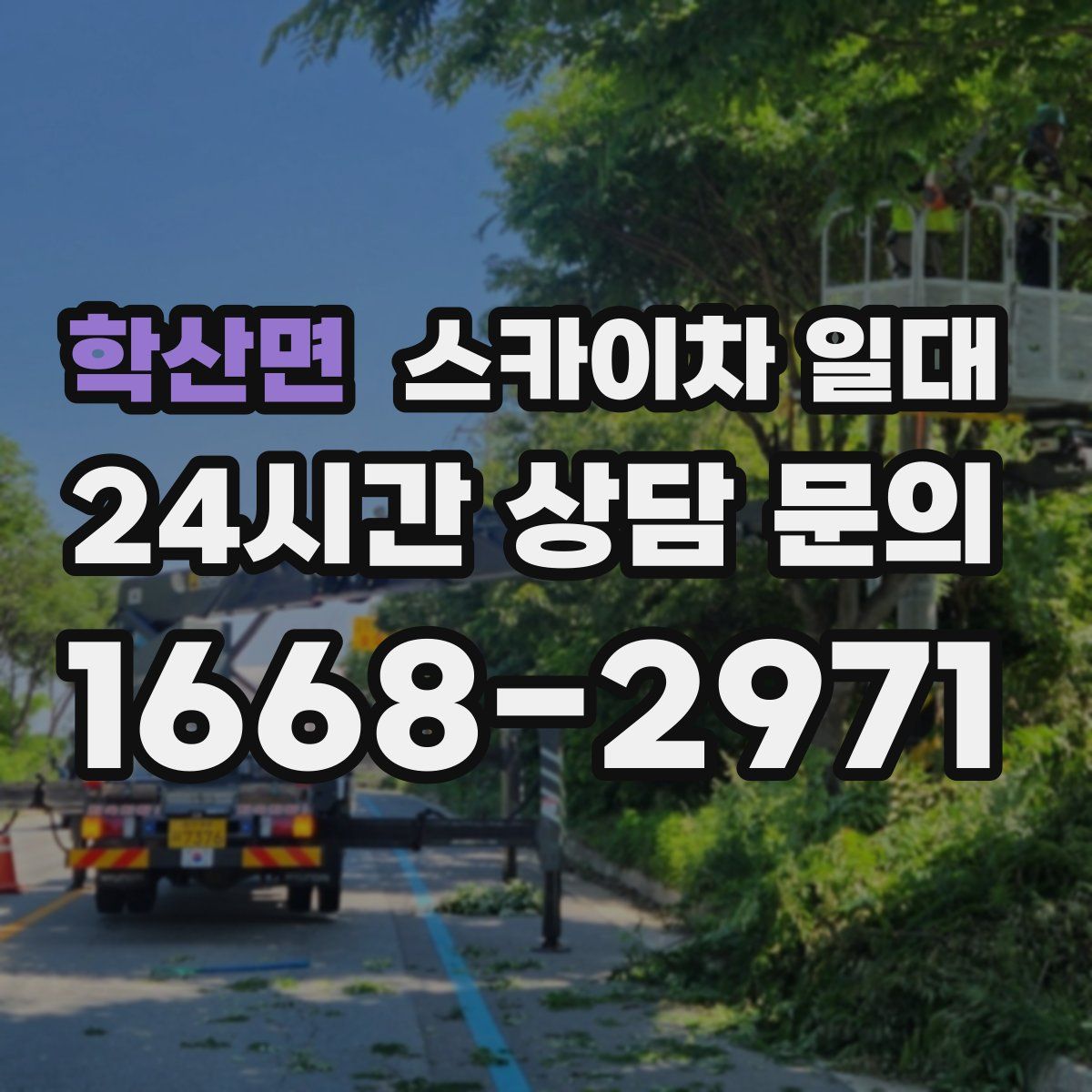 학산면 스카이차 일대