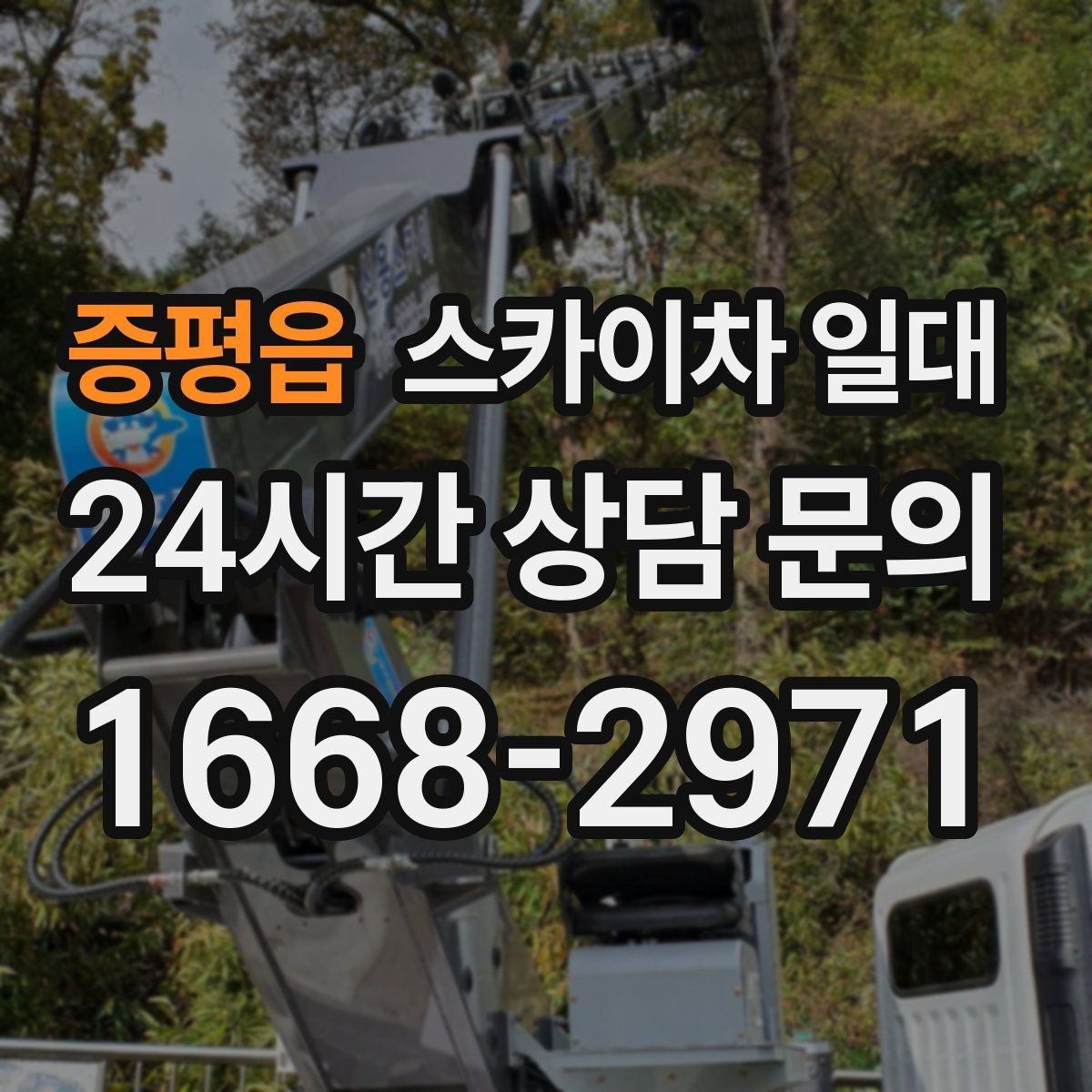 증평읍 스카이차 일대