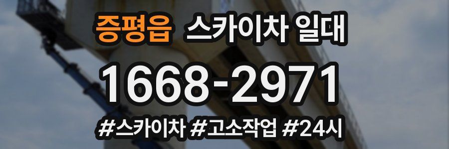 증평읍 스카이차 일대