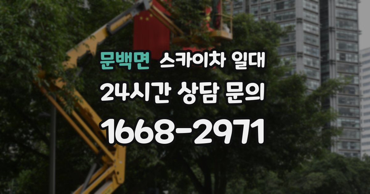 문백면 스카이차 일대