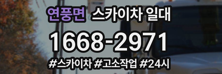 연풍면 스카이차 일대
