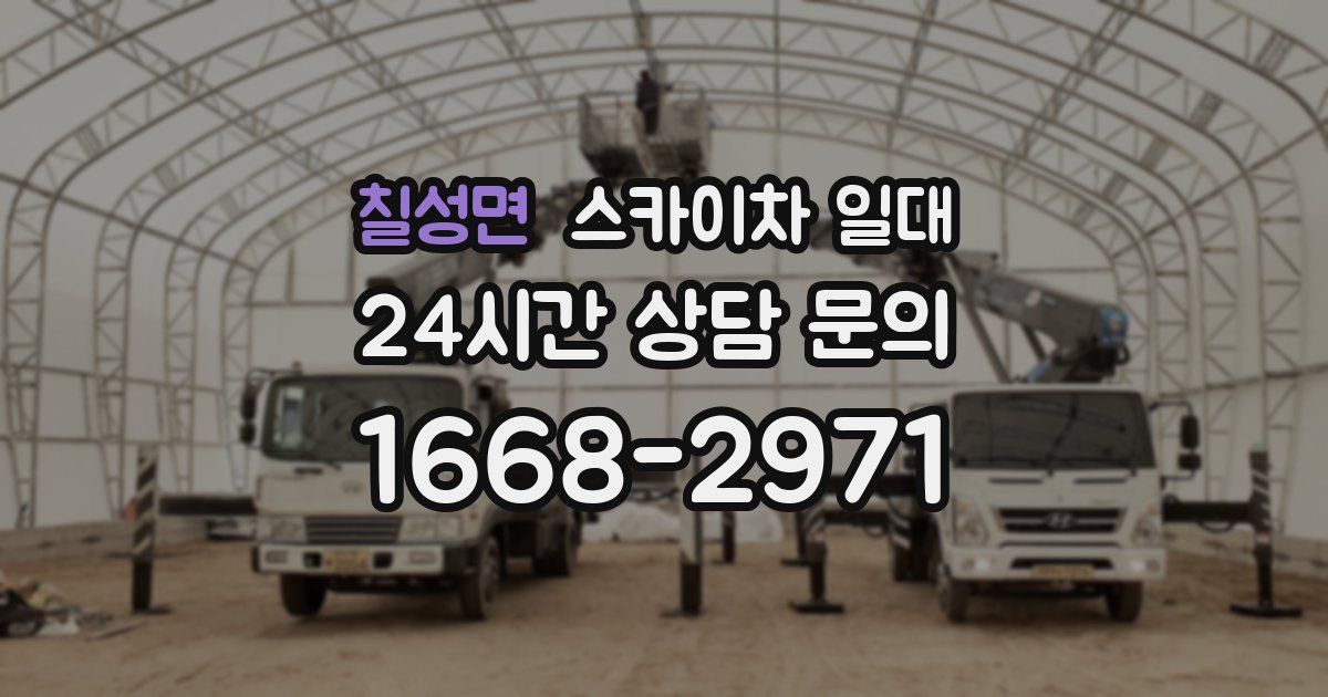 칠성면 스카이차 일대