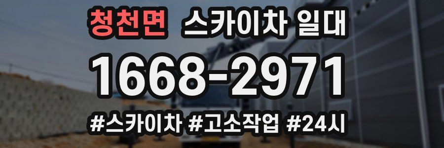 청천면 스카이차 일대