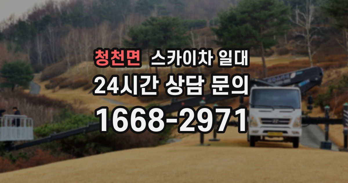 청천면 스카이차 일대