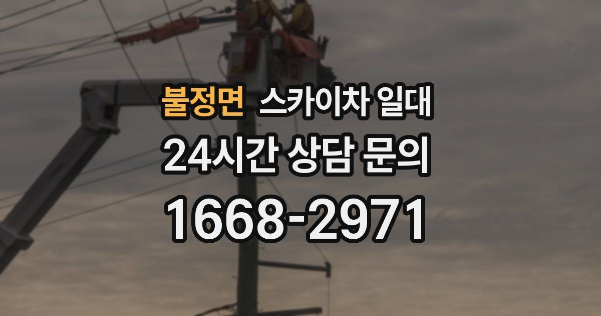 불정면 스카이차 일대
