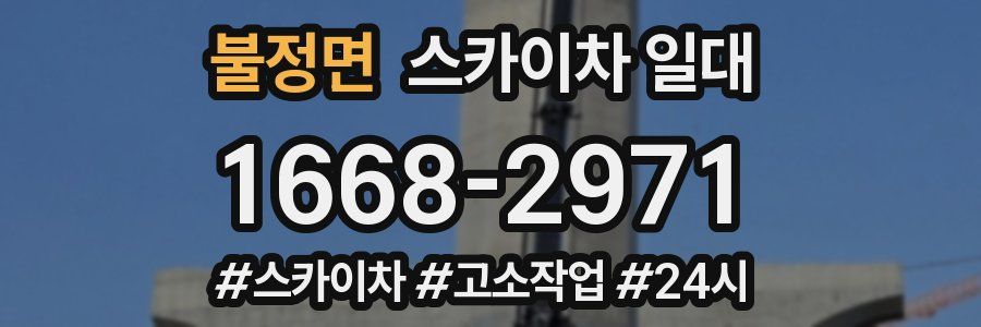 불정면 스카이차 일대