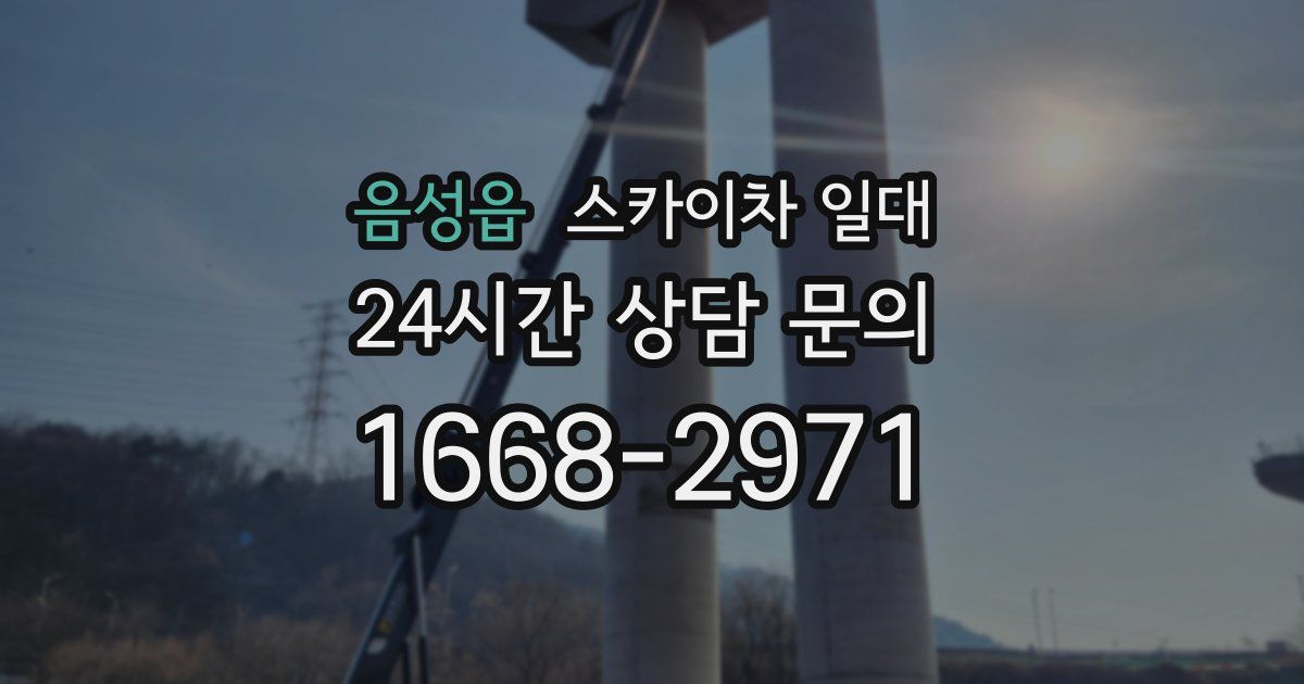 음성읍 스카이차 일대