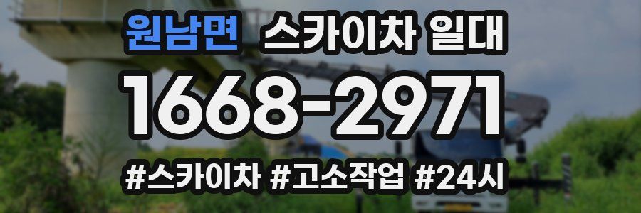 원남면 스카이차 일대