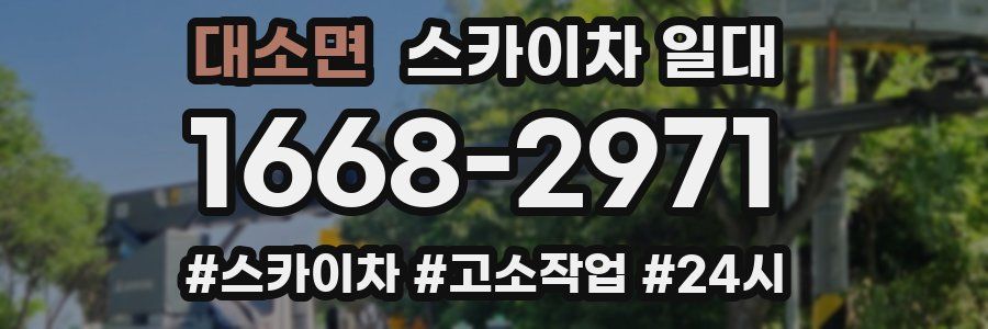 대소면 스카이차 일대