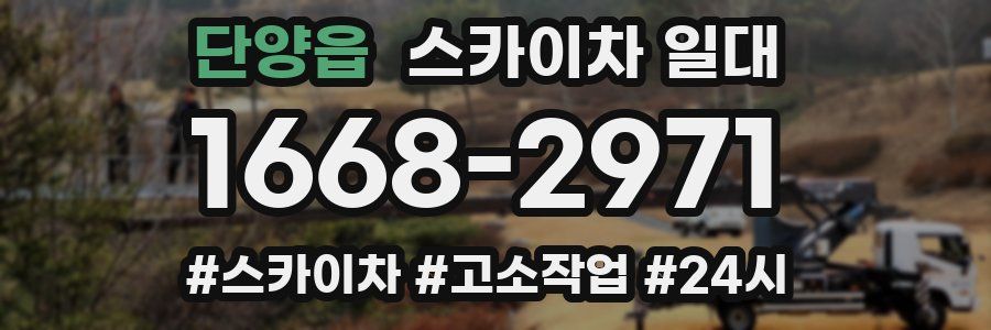 단양읍 스카이차 일대